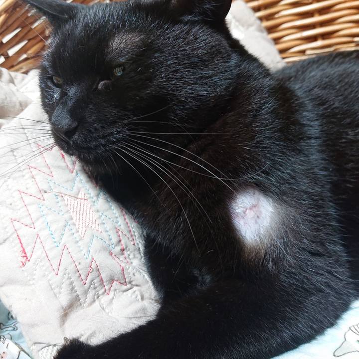 Dd7973c7 f28e 449c a395 b1783904dca4 1656464030961