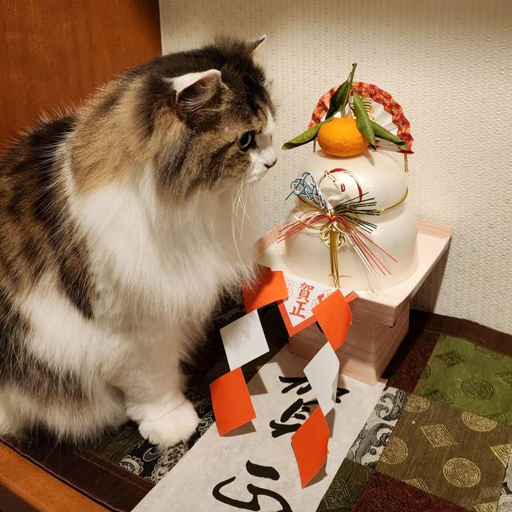 Dd798323 cbdc 4fbd 9693 bb40757d7e68 1767434278708