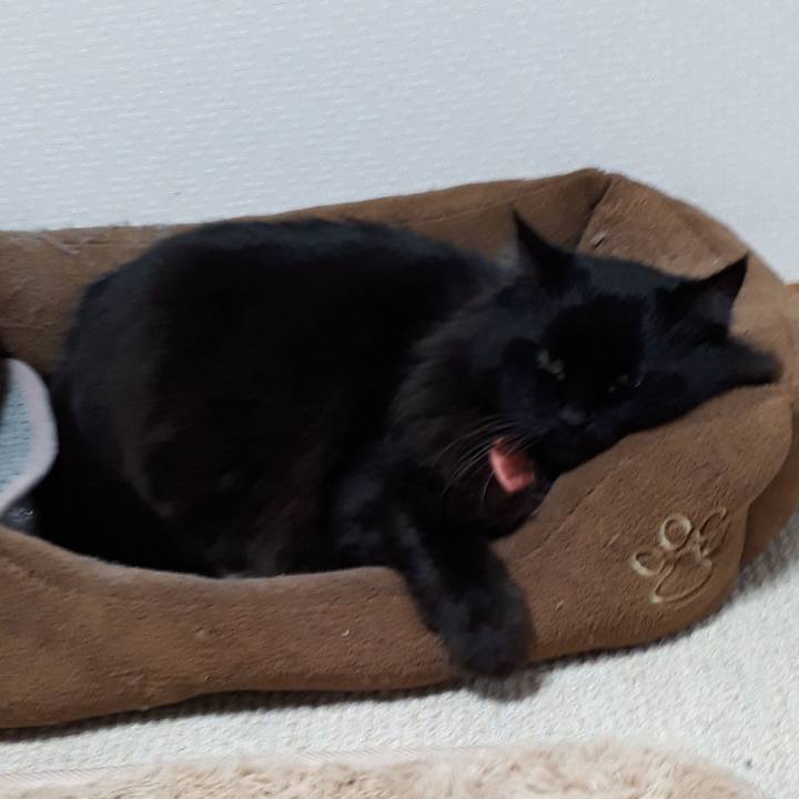 Dd79966e 1f7a 4fc6 bef5 78cbffcfb87e 1521193426114