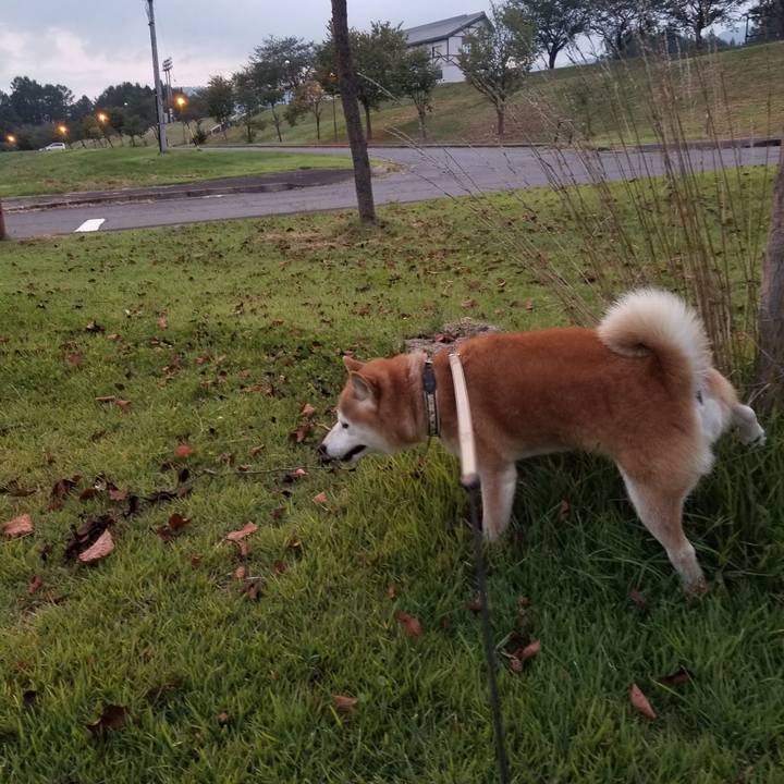 Dd79cfc6 44d5 44c2 95e6 5950abe2bcf8 1663318329481