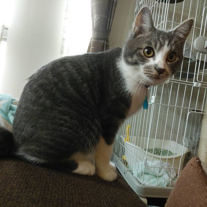 Dd79e872 7181 45bf 99e7 5c685abdf5fd 1572394499673