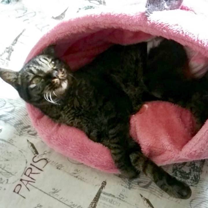 Dd7a01f1 f814 439a bf1d e275f489ddb2 1620454600400