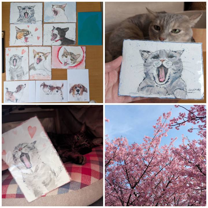 Dd7a0b43 6eaa 44a3 a72c ff2e798f2ead 1773191749709