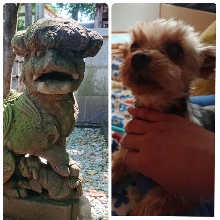 Dd7a1482 805d 4f26 9dcd a0c1fda154a1 1560722338569