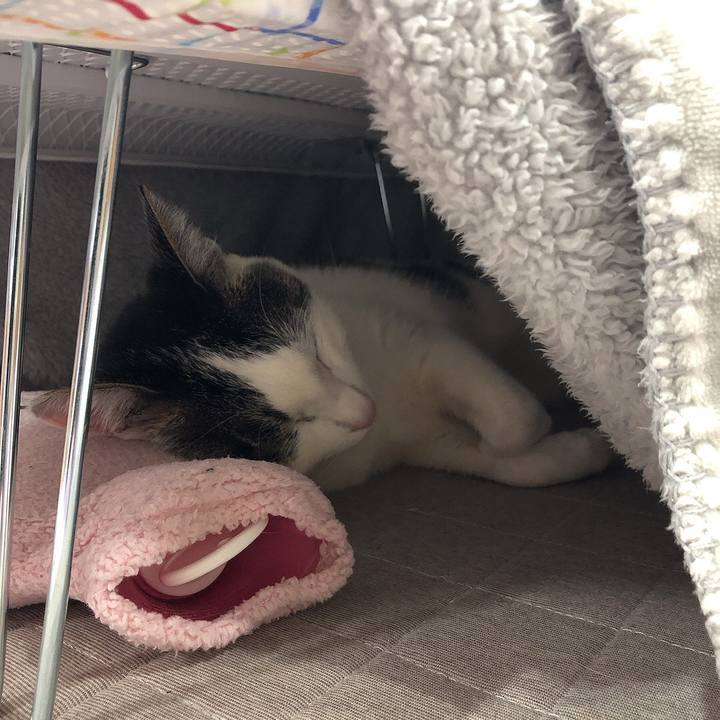 Dd7a3f6c d77e 4b25 b606 da173fdb07d7 1644321280675