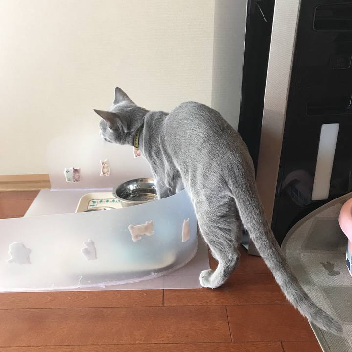 Dd7a51a3 a52a 4300 8bd0 507b695b4df0 1510452901668