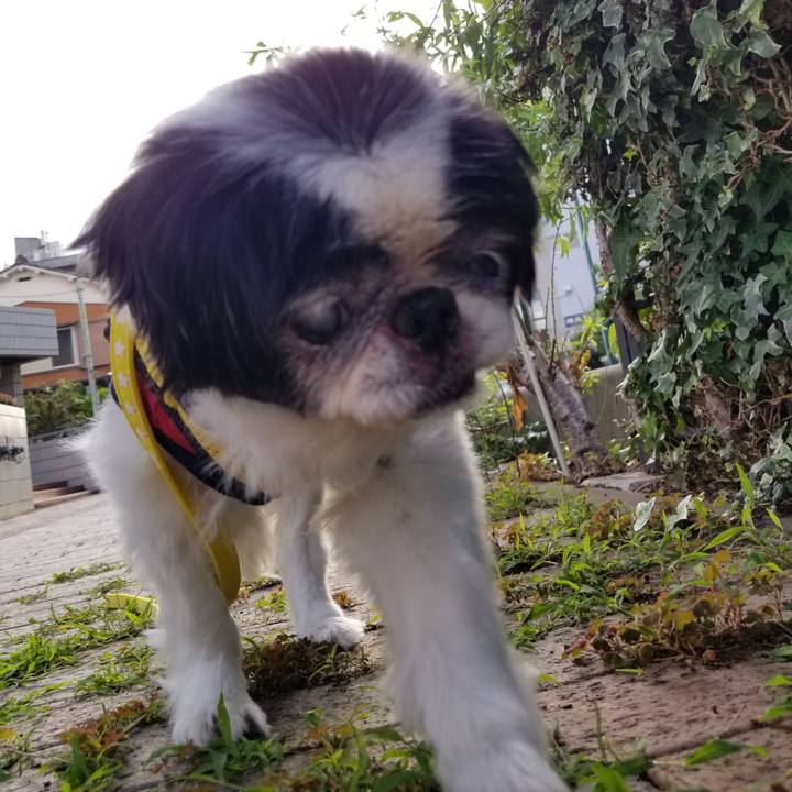 Dd7b07e0 9fe5 4ddd bd85 c71cb1b3954c 1623496176100