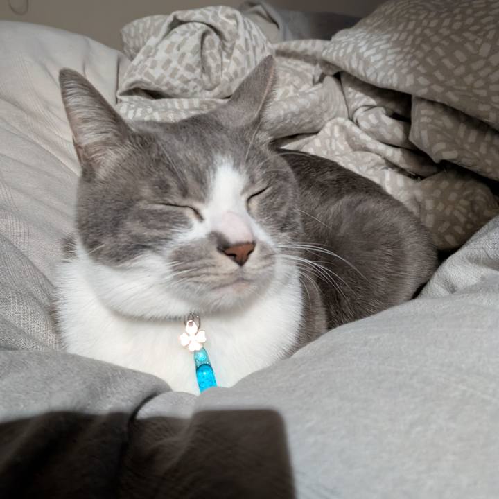 Dd7b3215 0abd 4b44 b226 fda6ae955ca6 1736112930534