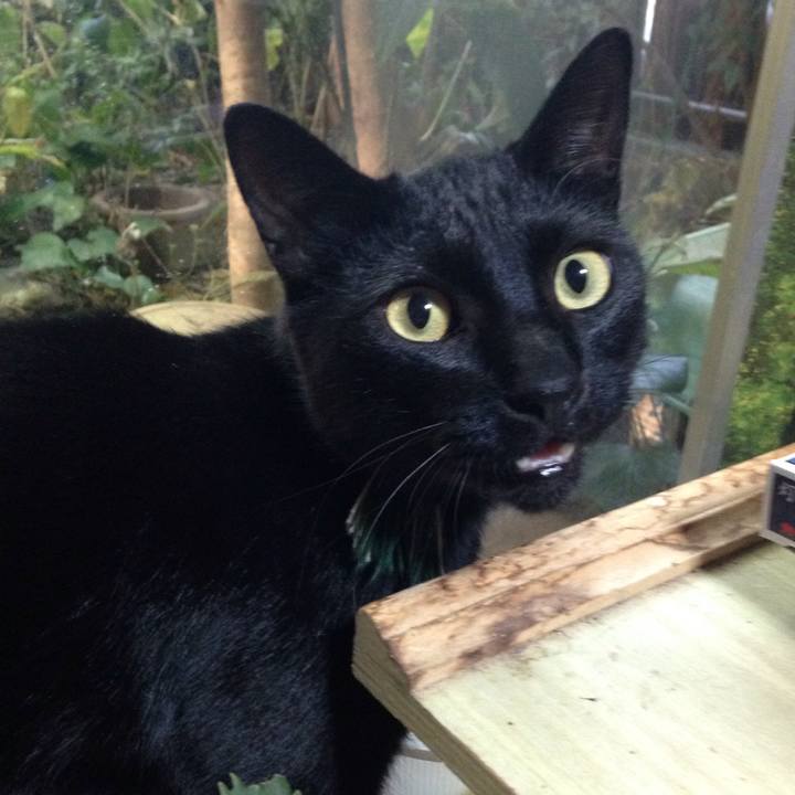 Dd7b610f cf04 41e1 9c05 aa20fc274488 1510217444162