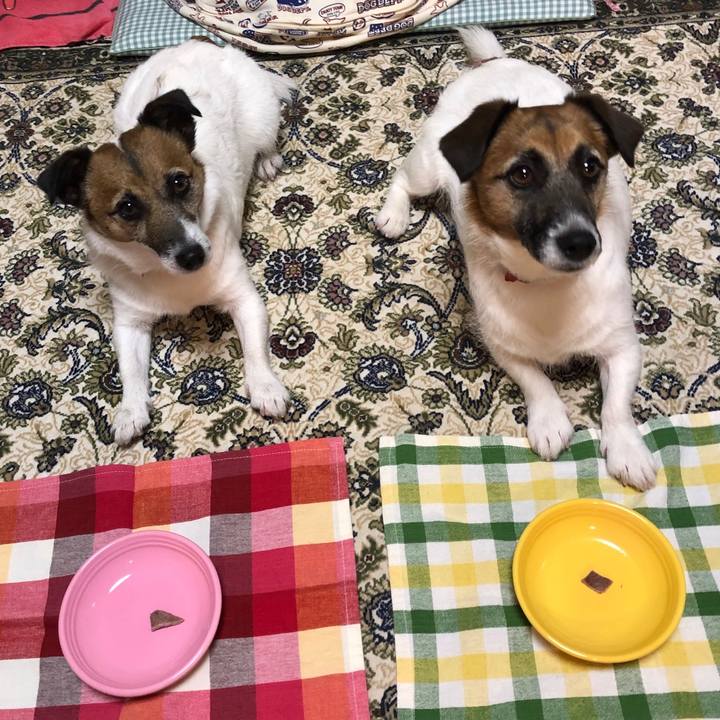 Dd7ba1f4 d67c 4099 a4c3 da03a17d0637 1622371926029