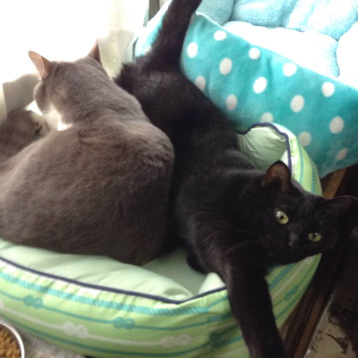 Dd7bc8e1 5dcc 429f 8d30 44a2b8490d32 1521176793722