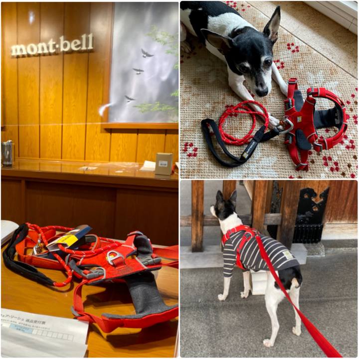 Dd7be695 6745 4c6f ac4a 37eb69faea73 1616914643045