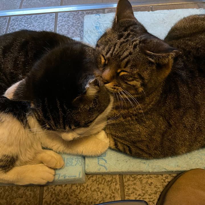 Dd7bffcd 9cc3 4ed4 be29 6e1dda331316 1613559921775