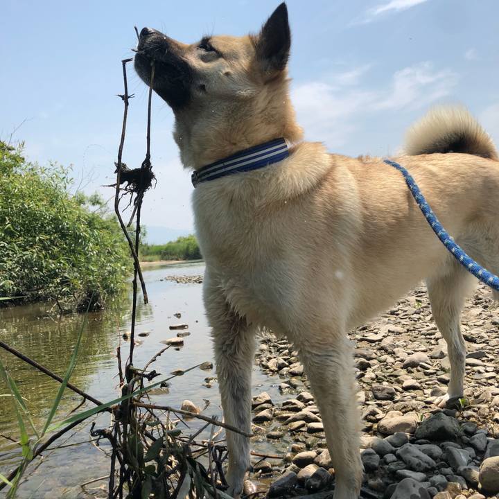 Dd7c6a46 ab9f 406d 948d a569a5fc37f1 1558860792430