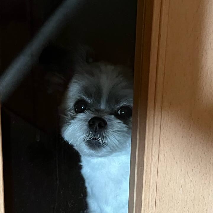 Dd7c73ba 7de7 44fb aae1 874883e70e16 1660730781163