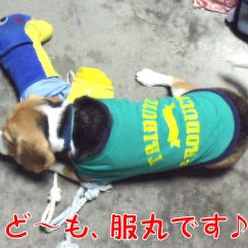 Dd7c7f71 82f3 4530 bbfa 6cfc7b5a2616 1700784739231