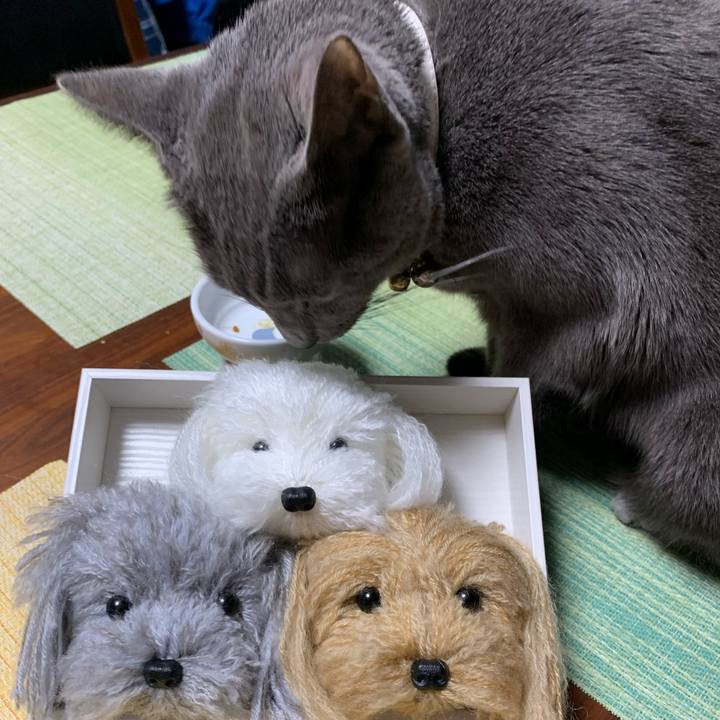 Dd7c9677 4a30 4050 be8b a941e67b26e5 1679659848666