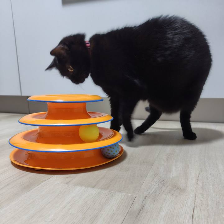 Dd7ca1c1 dc6d 4220 b9ed 88aab20e8066 1730204240823