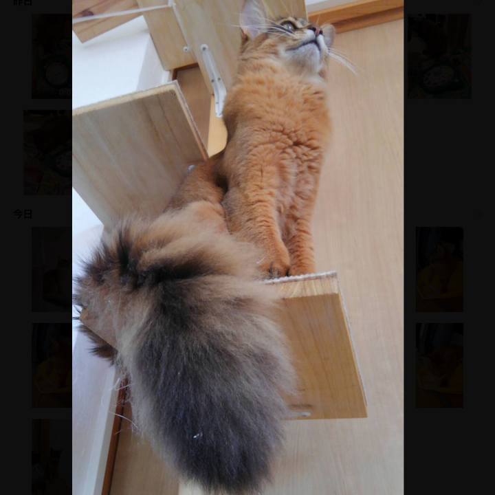 Dd7cfd5d e4bd 4a3f 8fa1 9d3b4debb9ad 1585262309983