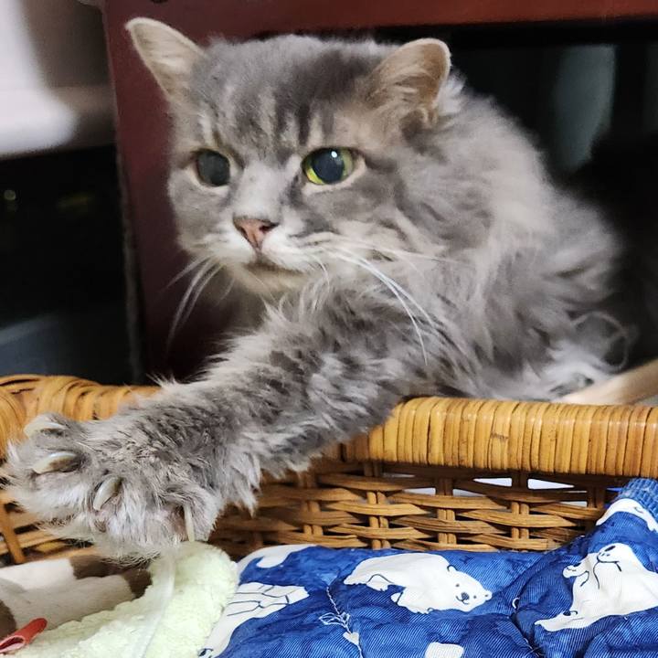 Dd7d0550 32a5 4f5d b71a 0fa2d6c3c525 1727520315483