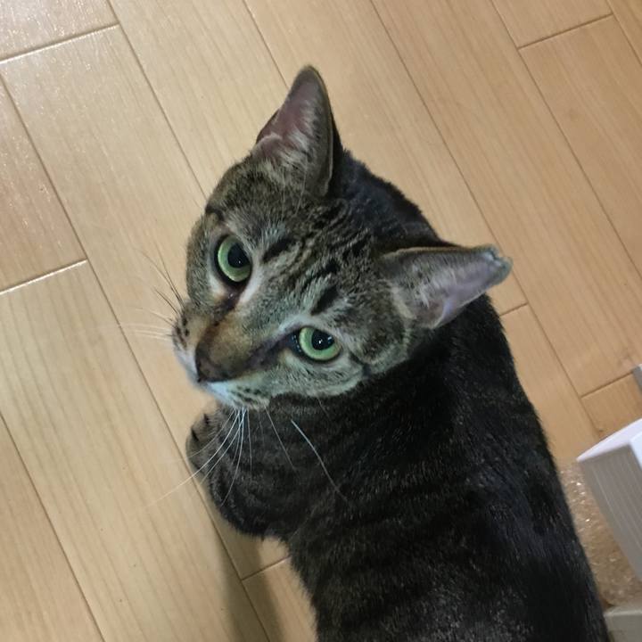 Dd7d1f44 50e6 41c1 82c3 b6088ce71711 1539768119590