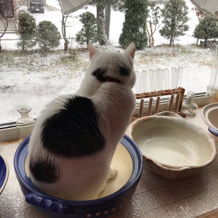 Dd7d6b2c 2657 4f4d 8322 12f8ae028894 1606087035006