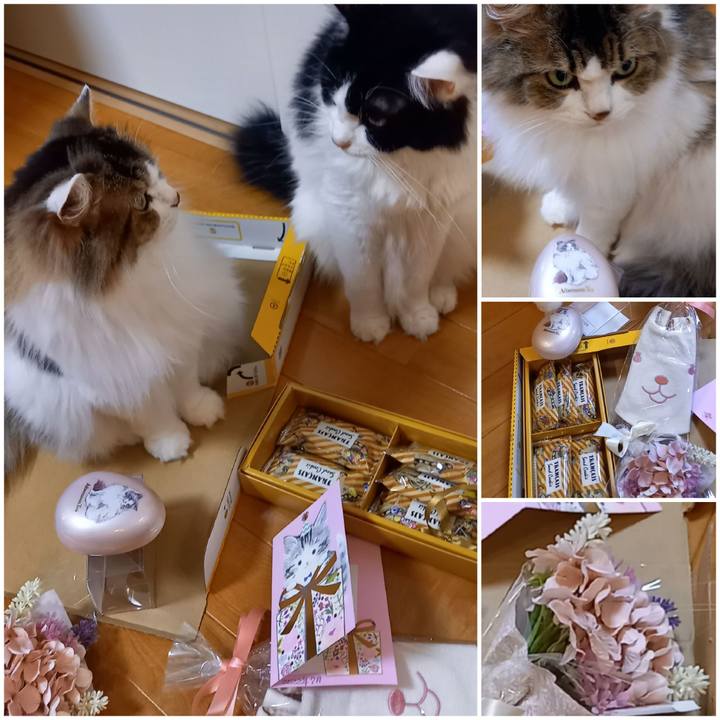 Dd7d72f9 c730 4414 8a19 1542e9af3566 1658281411253