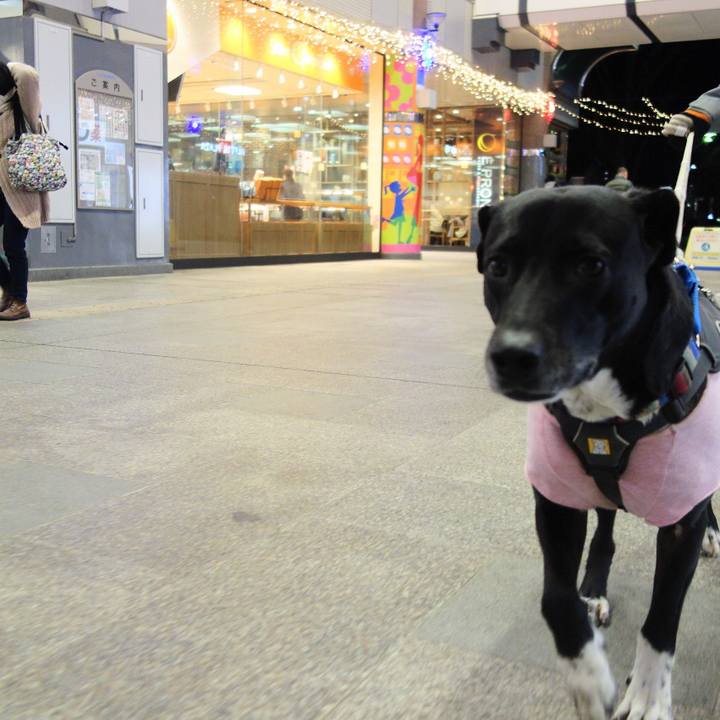 Dd7e01c3 401a 4cdd bee6 c2fe8e39e348 1644576822507