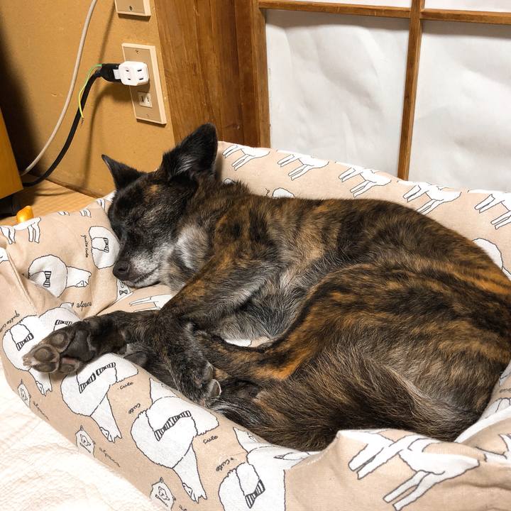 Dd7e10a6 04e3 4bd1 b33a 56441ae7f169 1591015458870