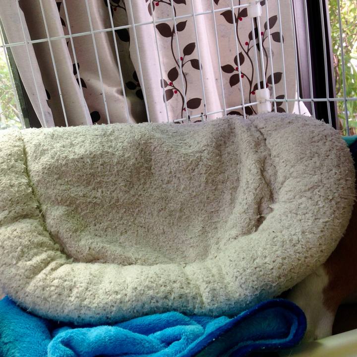 Dd7e2497 2da8 432c a7cf 631aceb82c32 1727562452942