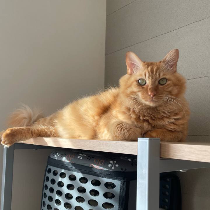 Dd7e2b5c 595d 42a2 b101 6ebe9203cad3 1766796501701