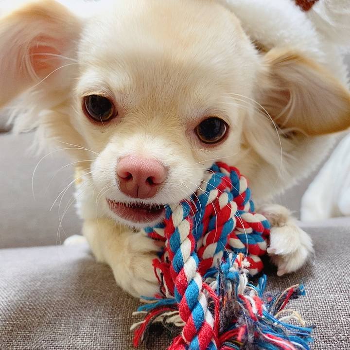 Dd7e3a7a 311f 47b2 84ec 9da4bd4d147b 1609817691094