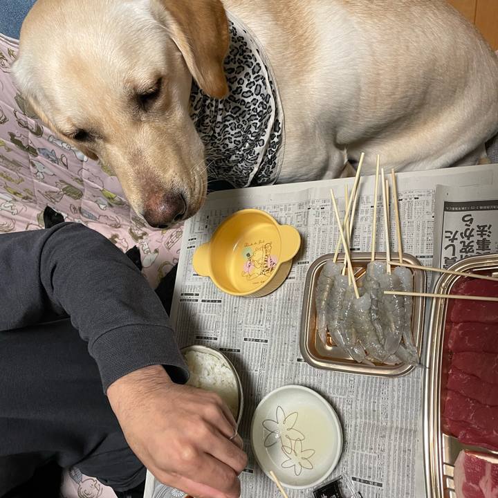 Dd7e59f8 9fe7 455f 99d5 a98837c767bc 1644755920835