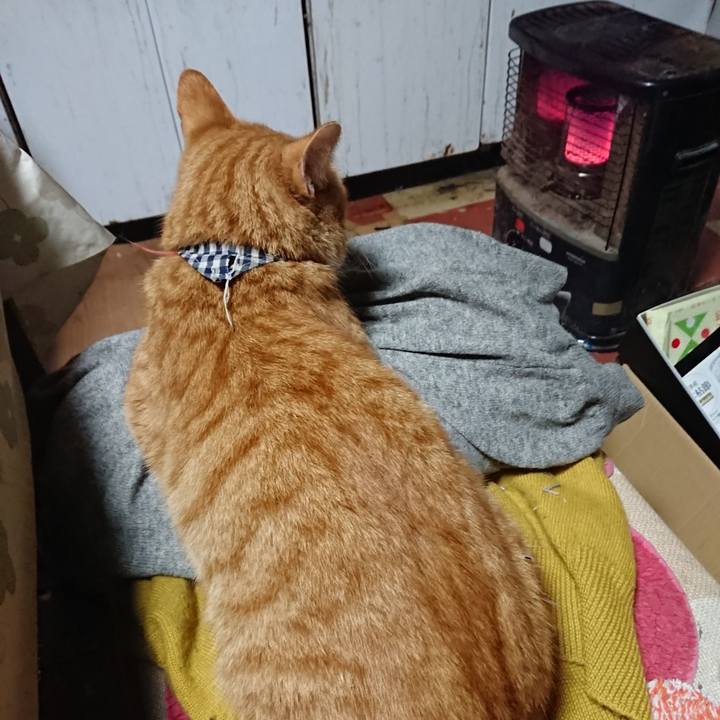 Dd7e6add 2090 4aae b817 84e764a669a8 1571736352150