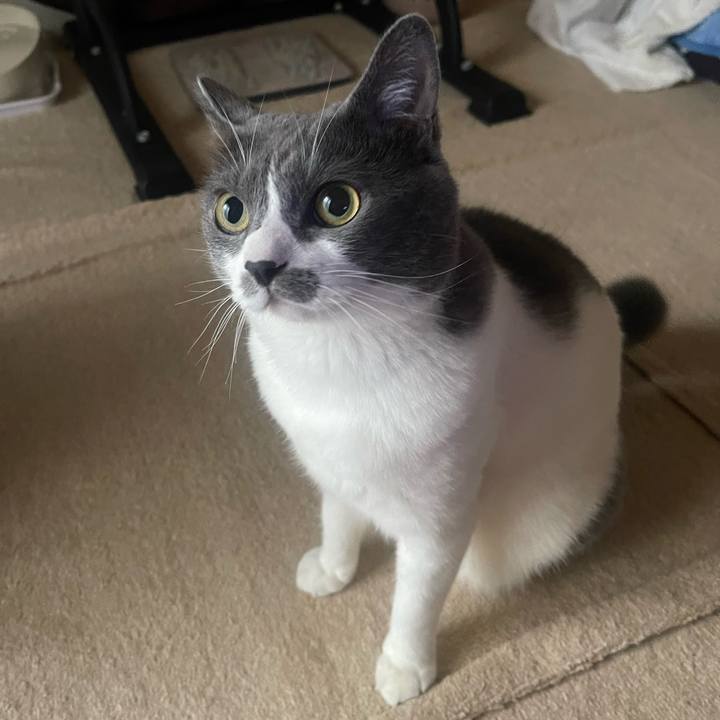 Dd7e6f87 26f5 40f6 ab5b ac779a1b0ccb 1720735485293