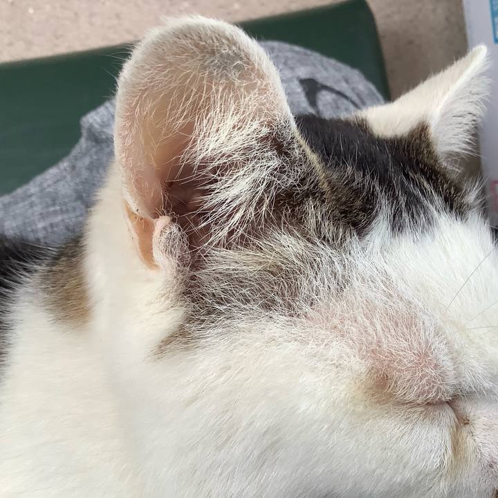 Dd7eab6d e757 4ce8 97a7 146d7a06be5f 1587888154809