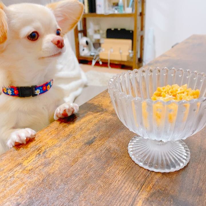 Dd7eb5c8 1a76 4f08 95f9 cf2ef2b7749c 1631159201852