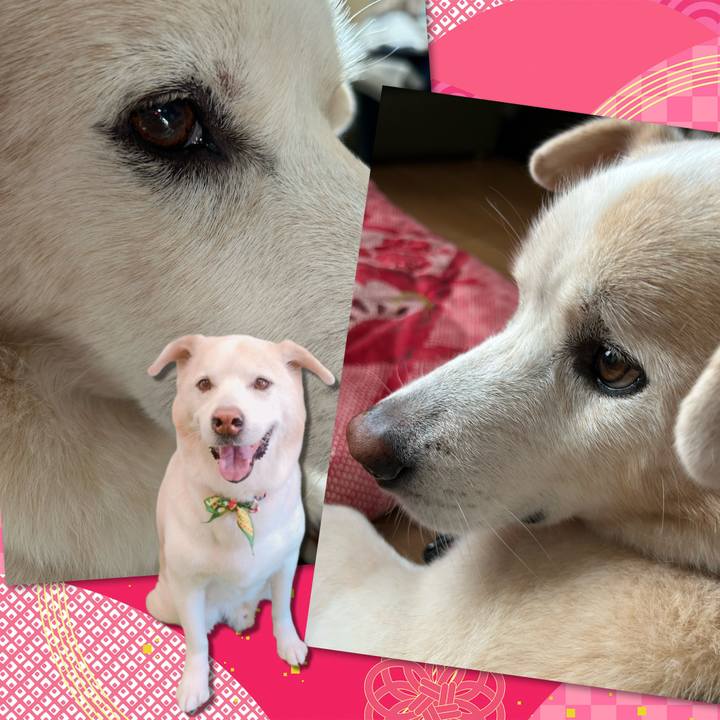 Dd7ed909 9a2f 4589 8aa0 ee5ea8d9b580 1736039615108