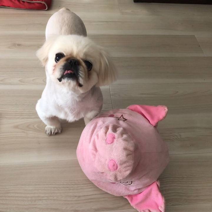 Dd7ef77e 3d59 4f39 b81b d6193d976d0e 1524644013203