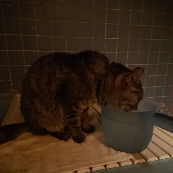 Dd7f1990 b8fb 4296 97fc 043ccb5f9243 1576835900095