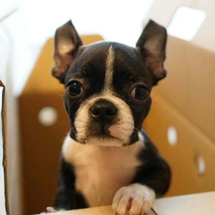 Dd7f2b16 d4b1 43c6 818a 34016cbabb63 1538223294267