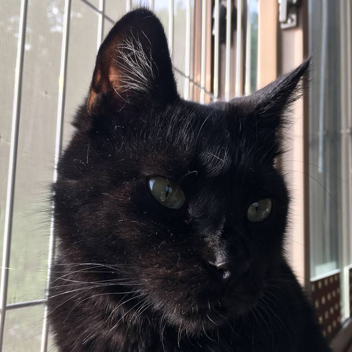 Dd7f2bc3 a1a2 417d 88bd 6a1da1ba12fe 1562447308706