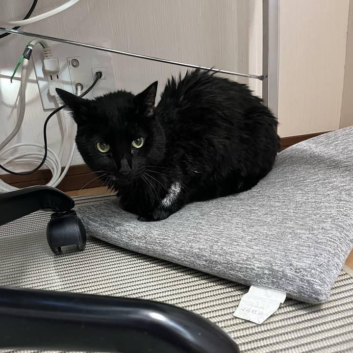 Dd7fa083 7617 48d8 b34e 743adb902c26 1735442535435