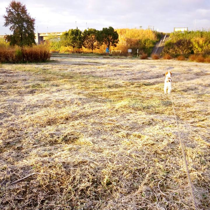 Dd7fb189 c06f 4459 b9de ed6485edeac9 1512171753541