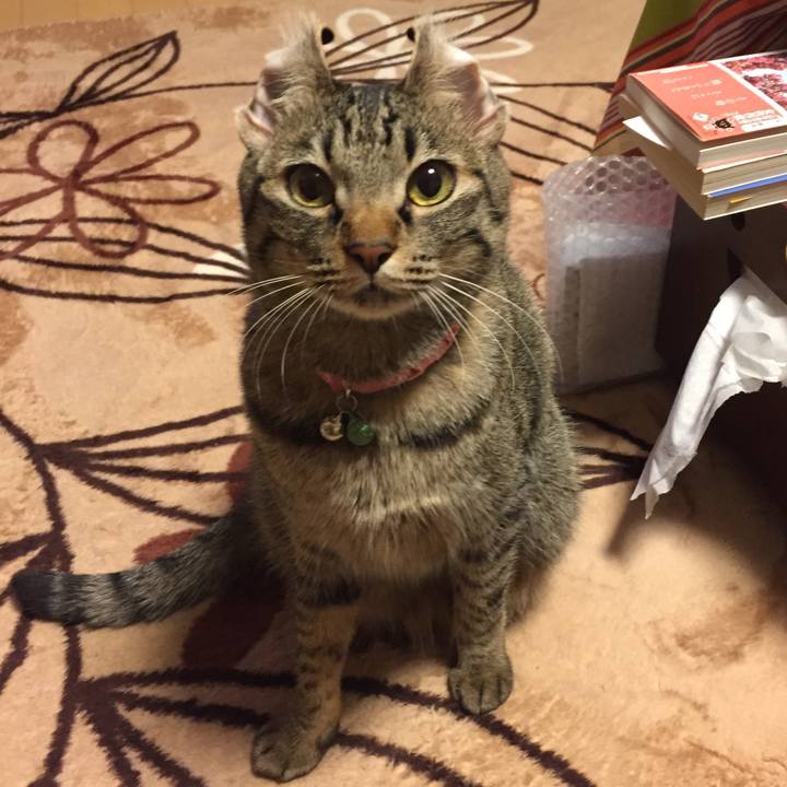 Dd7fbf42 1679 4071 b0bf b8d45c28f08d 1523371912239