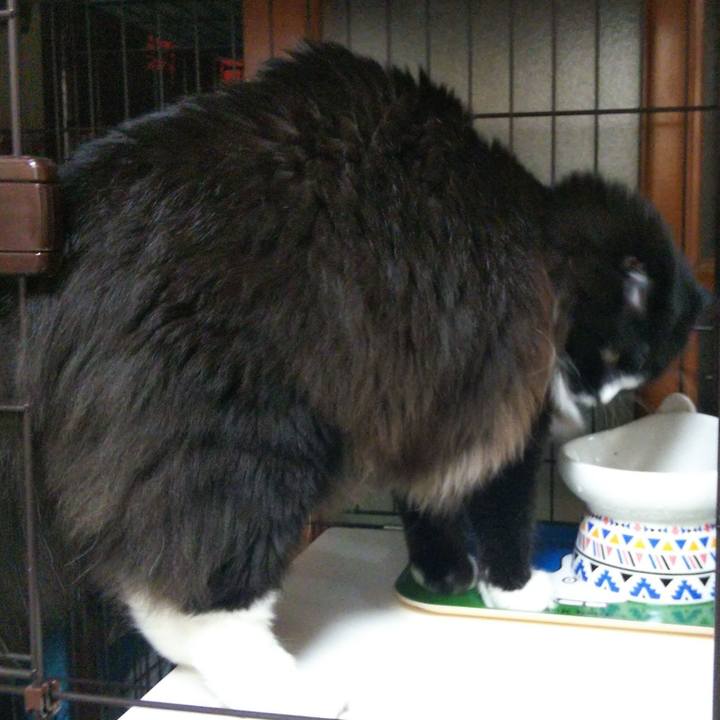 Dd7fc23e 460d 4241 a1a6 f7b662ad6d75 1655727074418