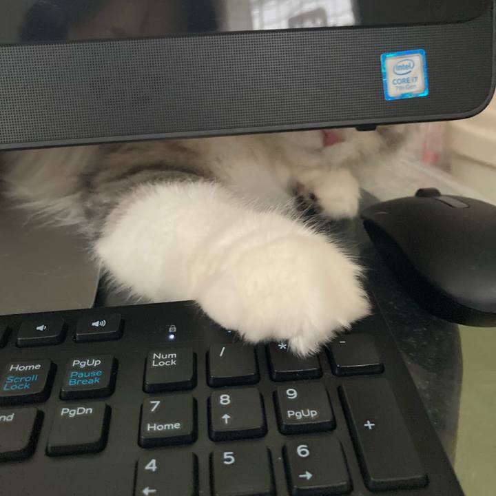 Dd7ff86a f666 4265 98a8 c0f48a5980a6 1615612752382