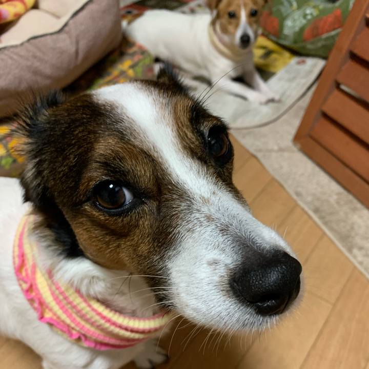 Dd800ada 6815 4b44 98ef c7dbd812227b 1581667505698