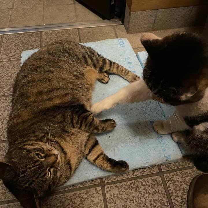 Dd800fc8 b9dc 48e0 b195 c894f9fb7488 1614831574169