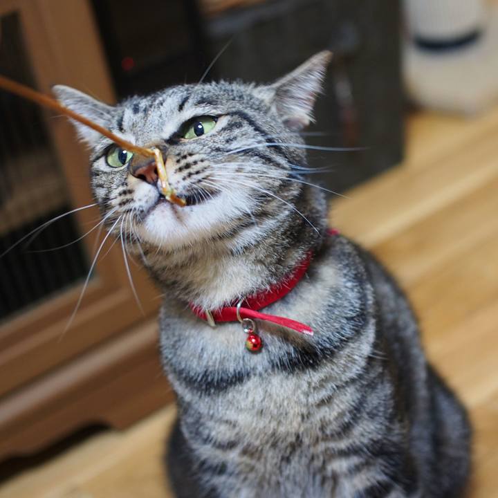 Dd803a10 259b 4d67 b71b 8a2619ca4aba 1567304659474